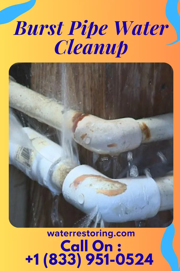 Burst Pipe Water Cleanup in Bramwell, WV