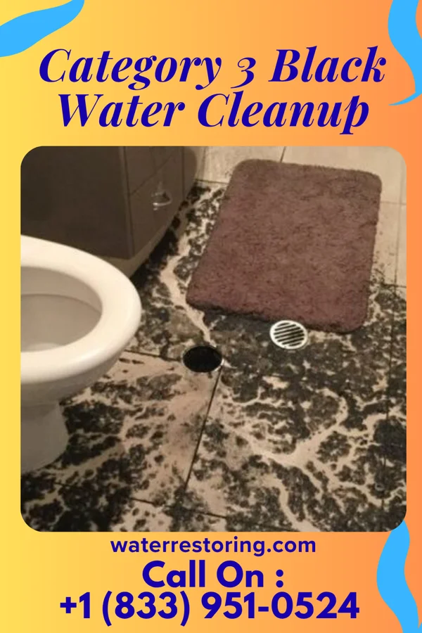 Category 3 Black Water Cleanup in Bramwell, WV