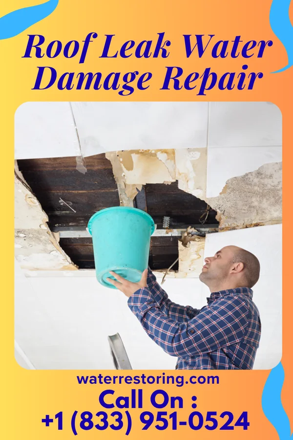 Roof Leak Water Damage Repair in Bramwell, WV