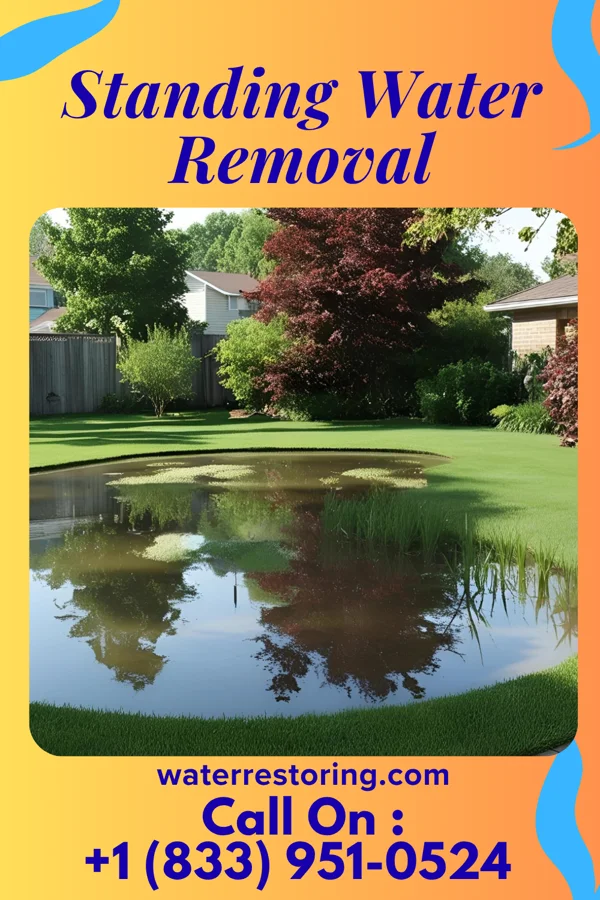 Standing Water Removal in Bramwell, WV